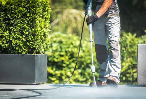 Best Winterizing Services  in Caro, MI